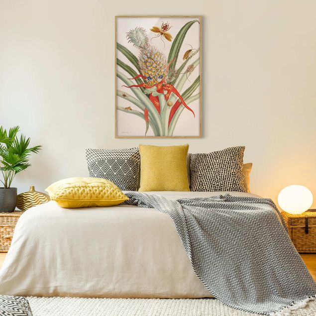 Wanddeko Schlafzimmer Anna Maria Sibylla Merian - Ananas mit Insekten