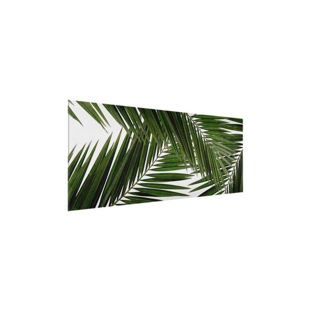 Wanddeko grün Blick durch grüne Palmenblätter
