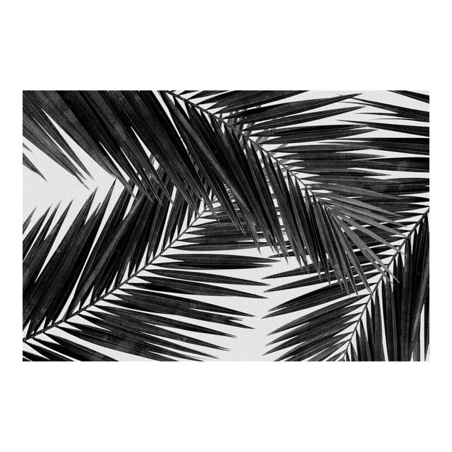 Deko Pflanzen Blick durch Palmenblätter Schwarz-Weiß