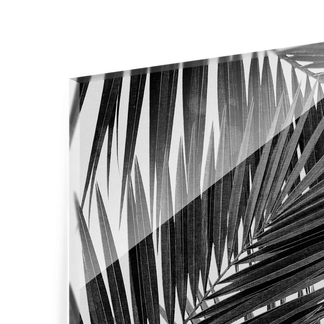 Wanddeko über Sofa Blick durch Palmenblätter schwarz weiß