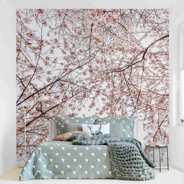 Wanddeko Wohnzimmer Blick in Kirschblütenzweige