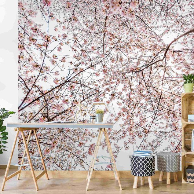 Wanddeko Esszimmer Blick in Kirschblütenzweige