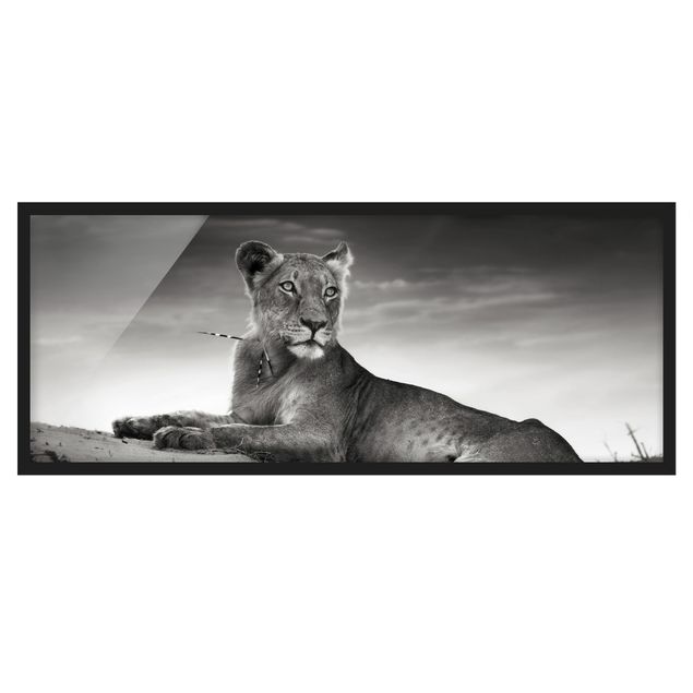 Wanddeko Esszimmer Resting Lion
