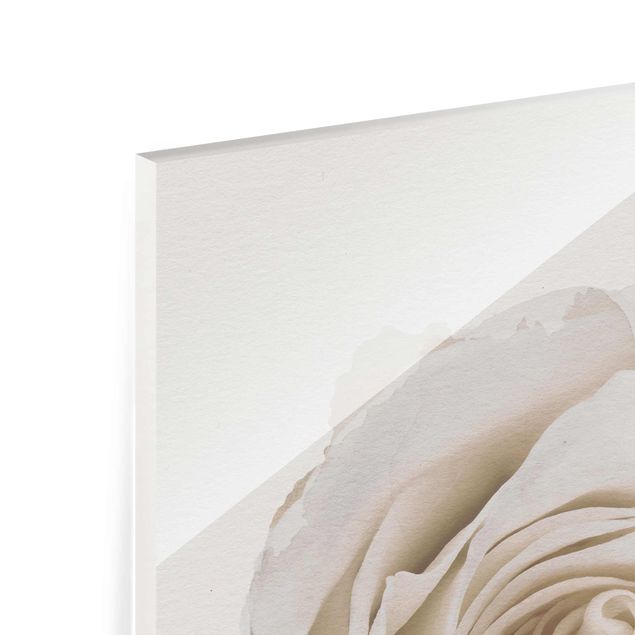 Wanddeko Büro Wasserfarben - Pretty White Rose