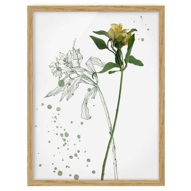 Wanddeko Blume Botanisches Aquarell - Lilie