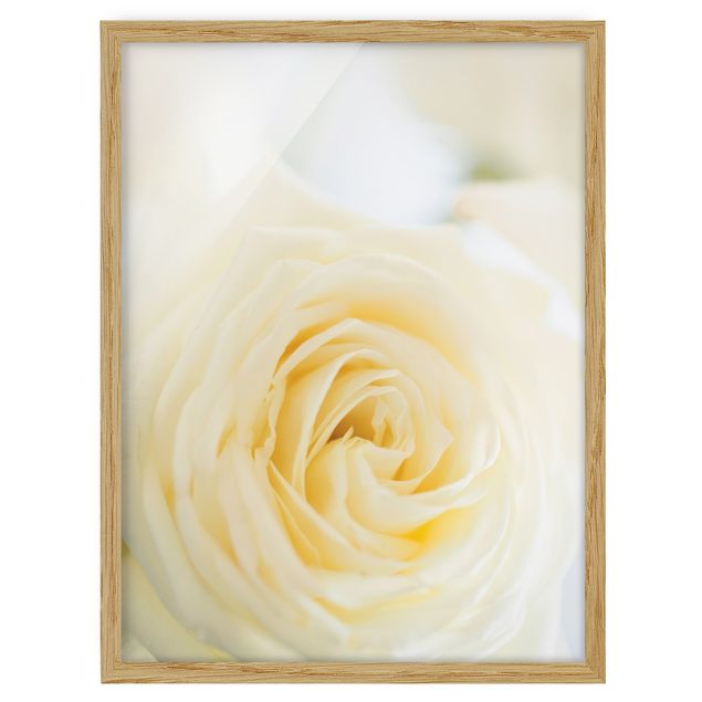Wohndeko Blume White Rose