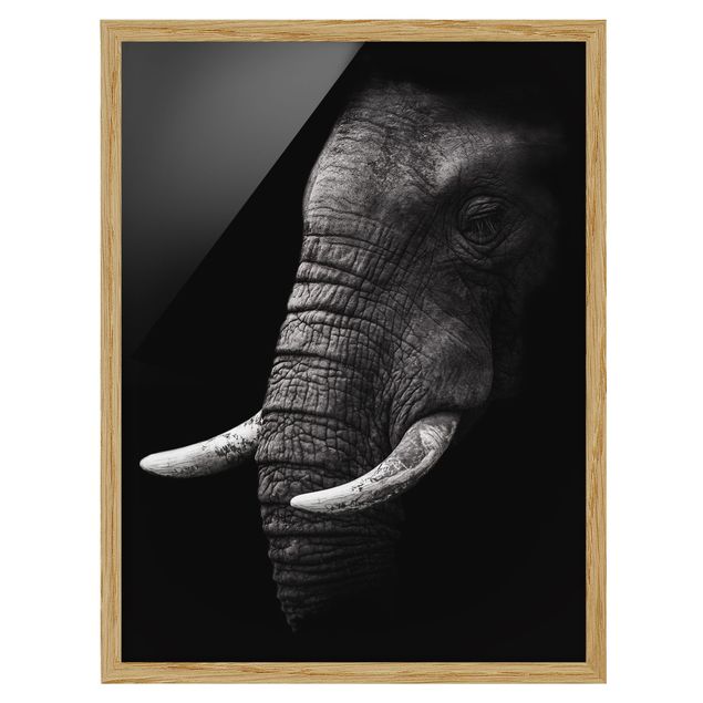 Wanddeko Flur Dunkles Elefanten Portrait