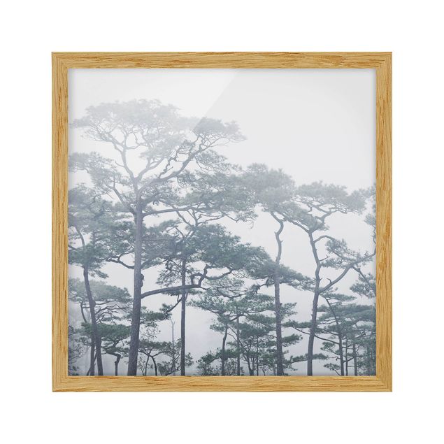 Wanddeko grau Baumkronen im Nebel