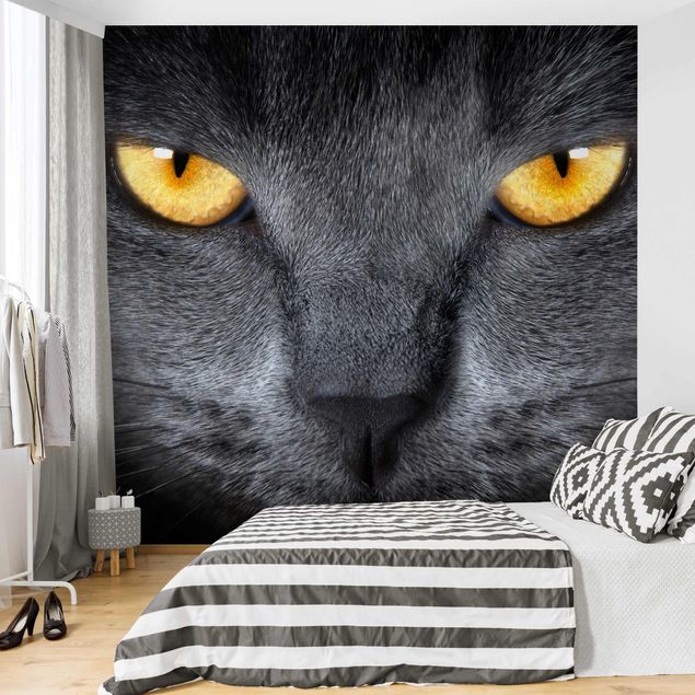 Wanddeko Schlafzimmer Cats Gaze