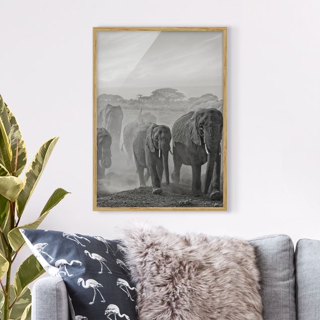 Wandbilder Elefanten Elefantenherde