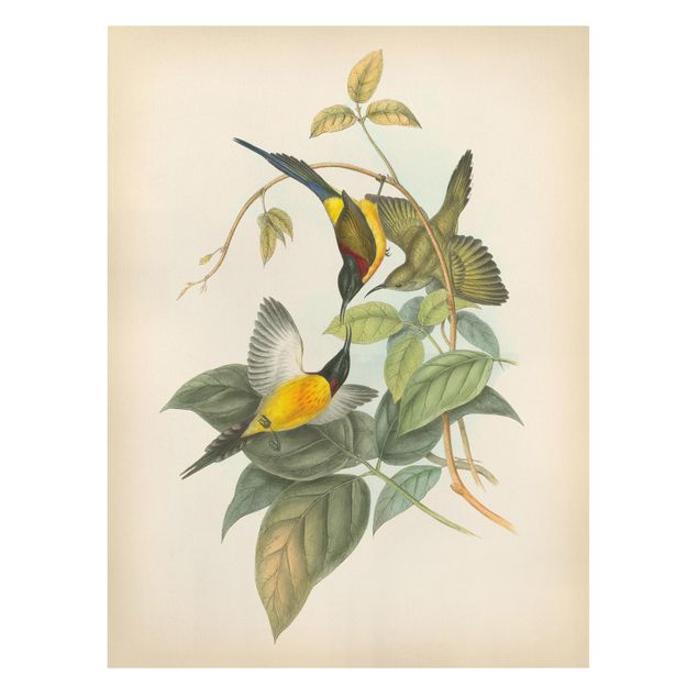 Wanddeko grün Vintage Illustration Tropische Vögel IV