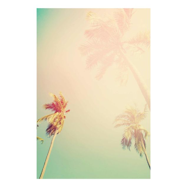 Wanddeko pastell Tropische Pflanzen Palmen bei Sonnenuntergang III