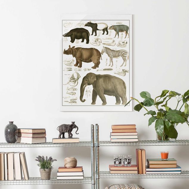 Wanddeko braun Vintage Lehrtafel Elefant, Zebra und Nashorn