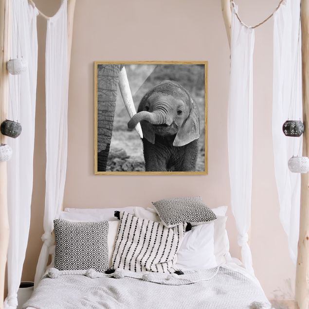 Wanddeko Schlafzimmer Elefantenbaby