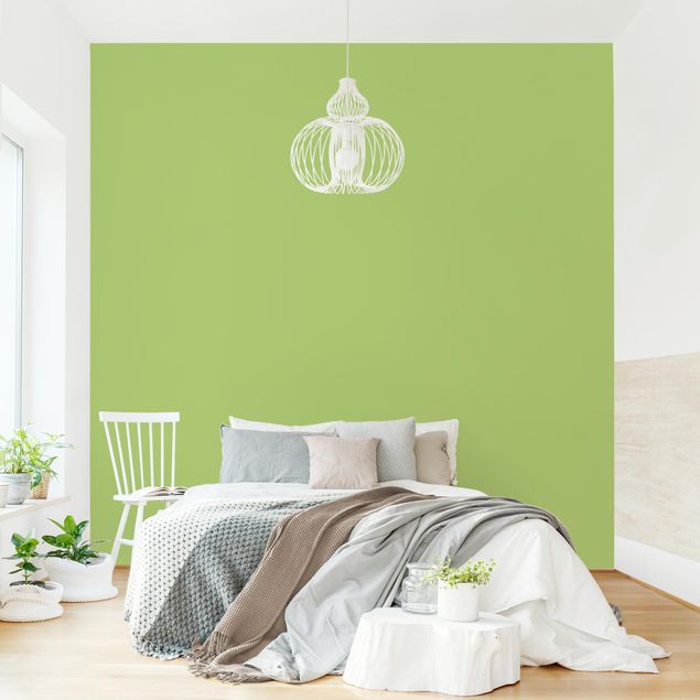 Wanddeko Esszimmer Colour Spring Green