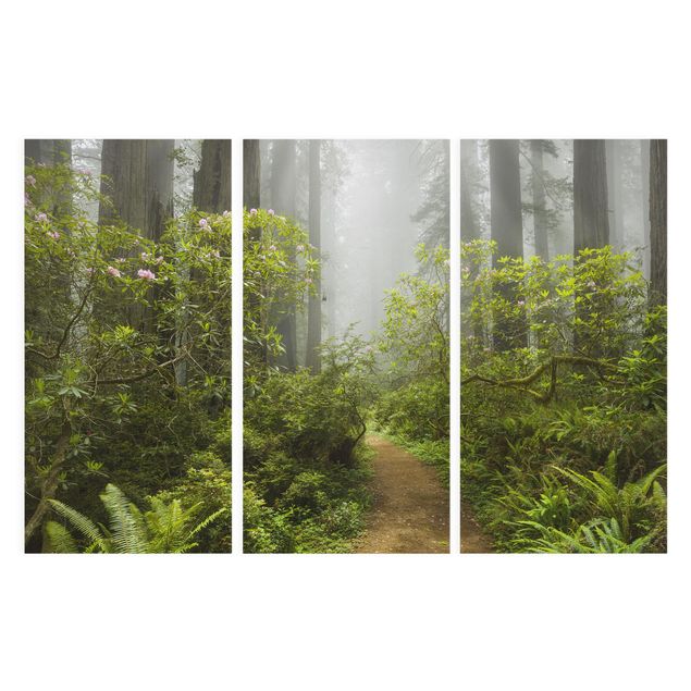 Wanddeko grün Nebliger Waldpfad