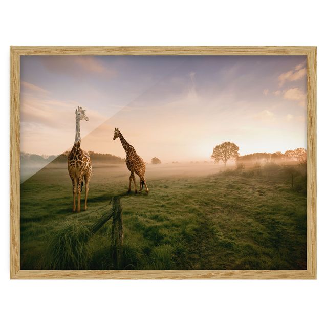 Wandbilder Giraffen Surreal Giraffes