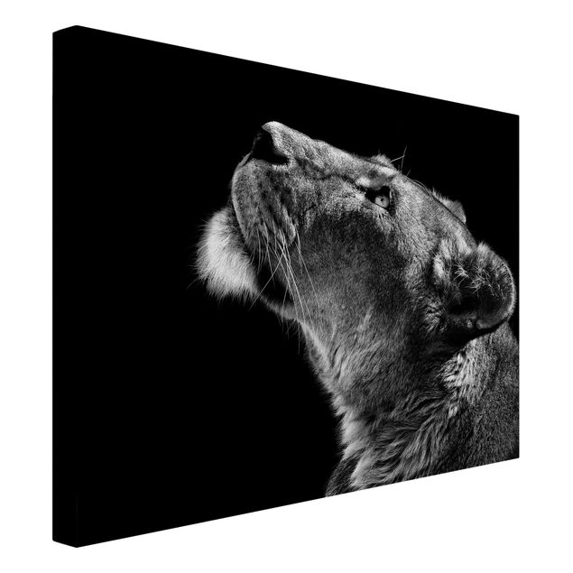 Wanddeko Esszimmer Portrait einer Löwin