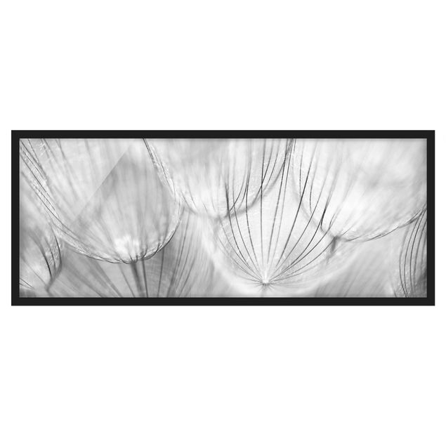 Wanddeko Blume Pusteblumen Makroaufnahme in schwarz weiß