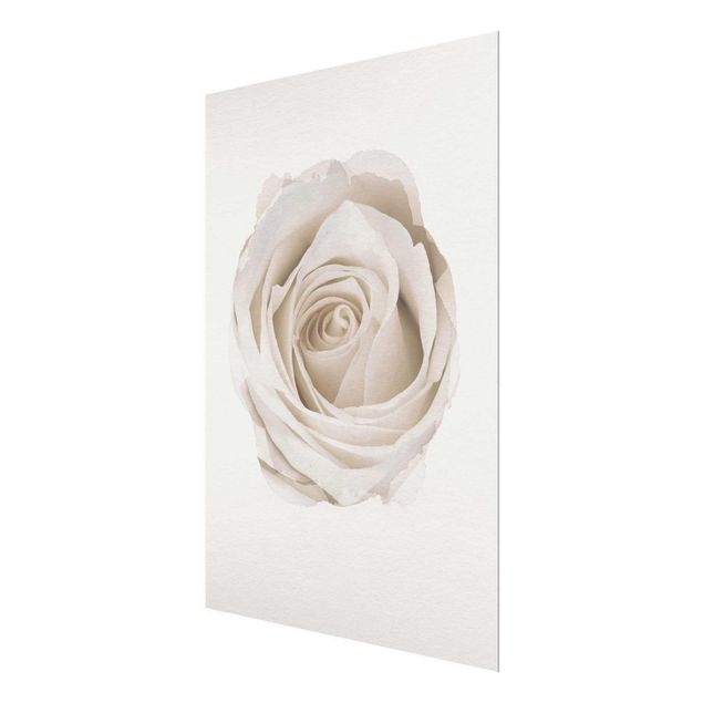Wanddeko Esszimmer Wasserfarben - Pretty White Rose