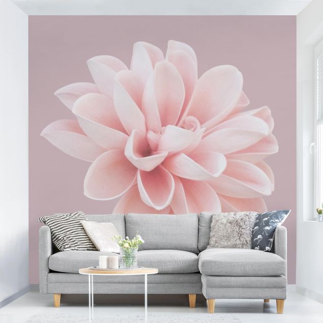 Wanddeko Schlafzimmer Dahlie Blume Lavendel Rosa Weiß