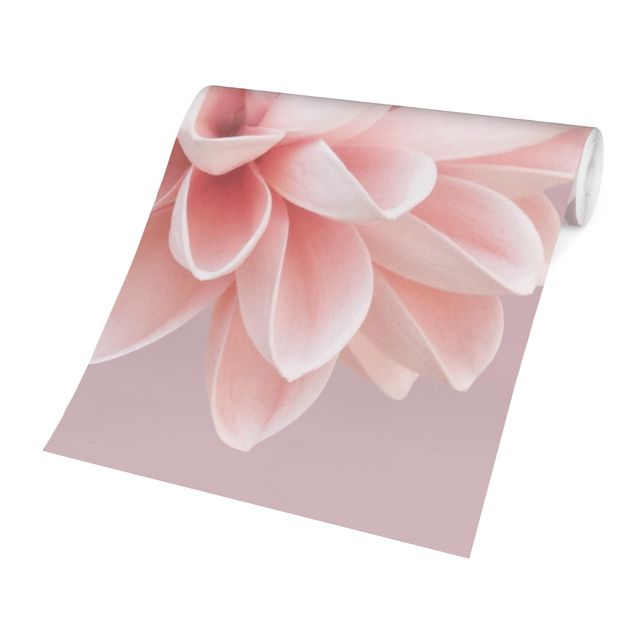 Wanddeko Esszimmer Dahlie Blume Lavendel Rosa Weiß