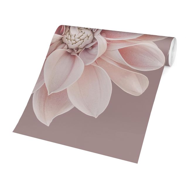 Wanddeko Esszimmer Dahlie Blume Lavendel Weiß Rosa