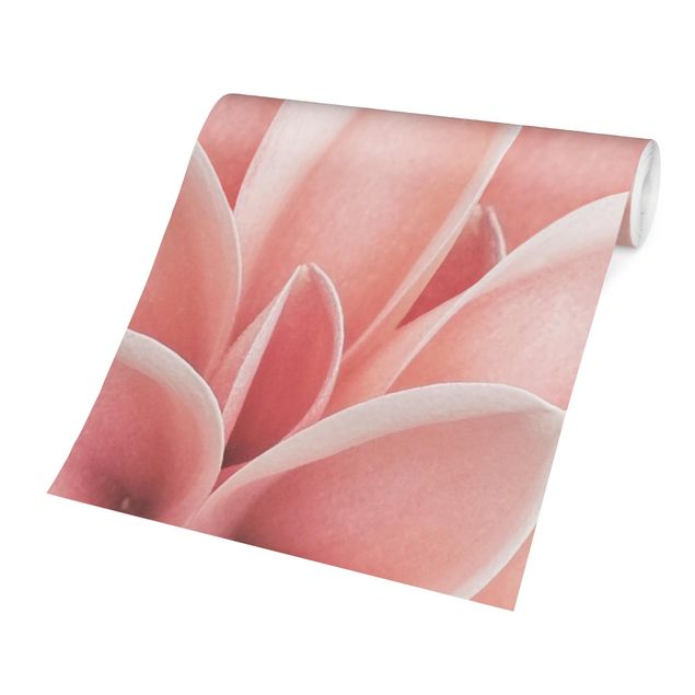 Wanddeko Esszimmer Dahlie Rosa Blütenblätter Detail