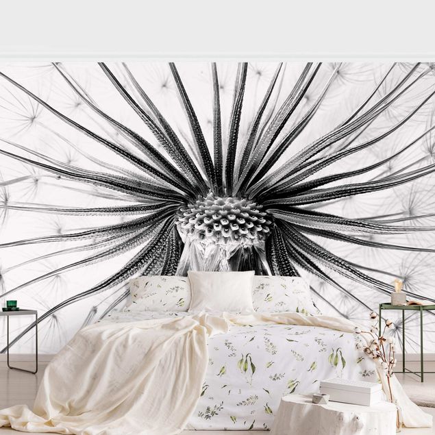 Wanddeko Schlafzimmer Dandelion Close Up Schwarz-Weiß