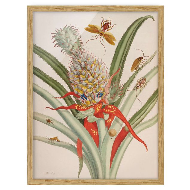 Wanddeko Esszimmer Anna Maria Sibylla Merian - Ananas mit Insekten