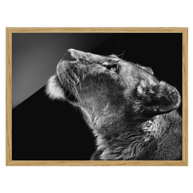 Wanddeko Esszimmer Portrait einer Löwin