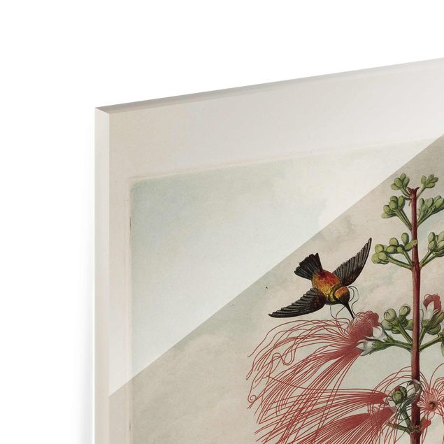 Wanddeko Treppenhaus Botanik Vintage Illustration Blüte und Kolibri