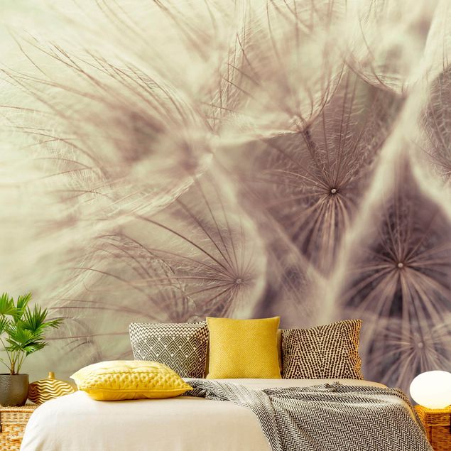 Wanddeko Schlafzimmer Detailreiche Pusteblumen Makroaufnahme mit Vintage Blur Effekt