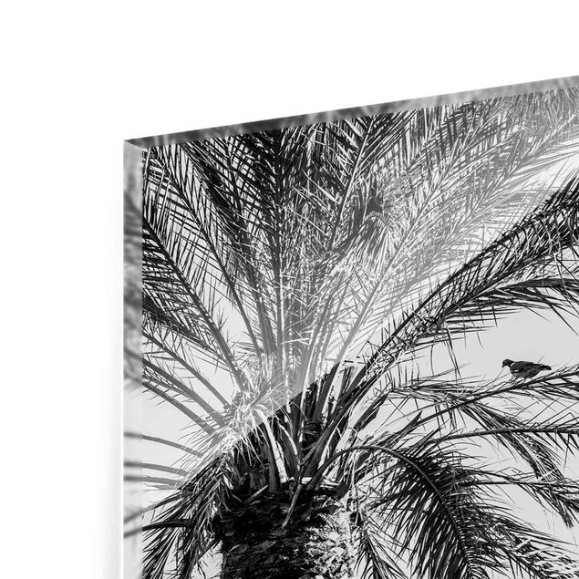 Wanddeko über Bett Palmen im Sonnenuntergang Schwarz-Weiß
