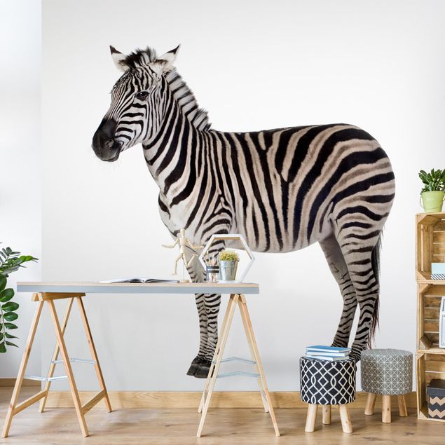 Wanddeko Wohnzimmer Dickes Zebra
