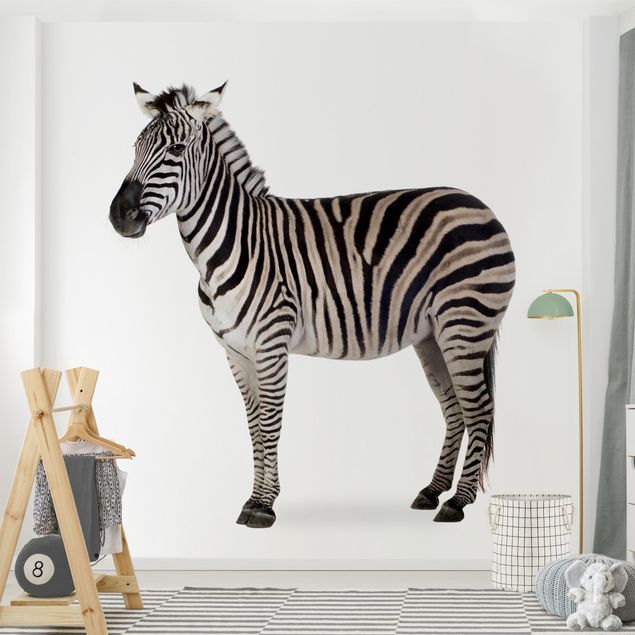 Wanddeko Schlafzimmer Dickes Zebra