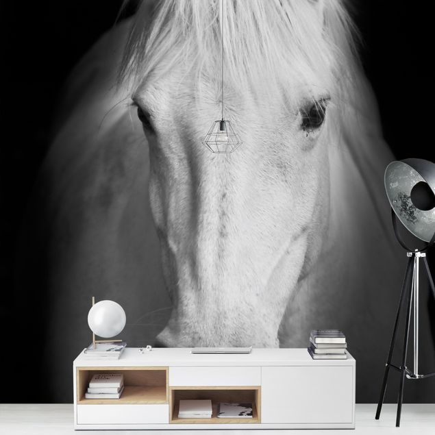 Wanddeko Büro Dream of a Horse