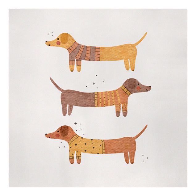 Wandbilder Hunde Drei Dachse