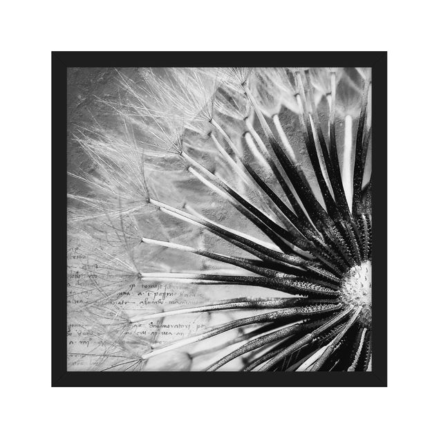 Wohndeko Blume Pusteblume Schwarz & Weiß