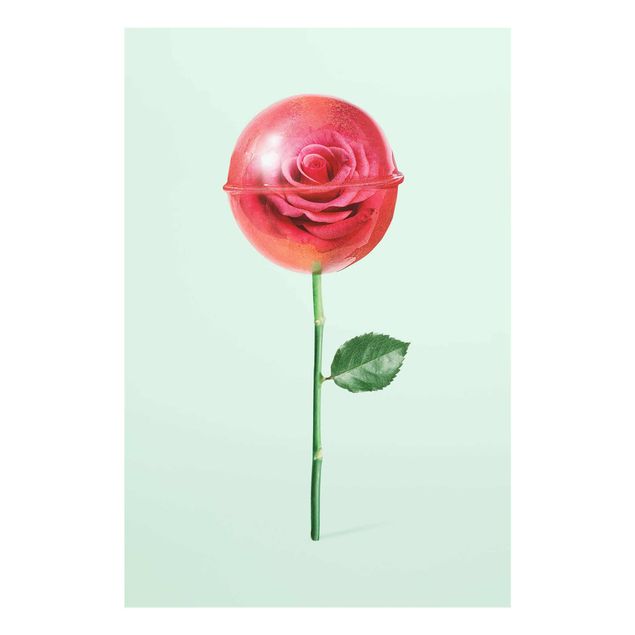 Wanddeko Flur Rose mit Lollipop