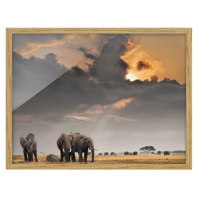 Wanddeko Flur Elefanten der Savanne