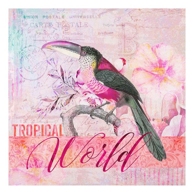 Wanddeko Büro Vintage Collage - Tropical World Tucan