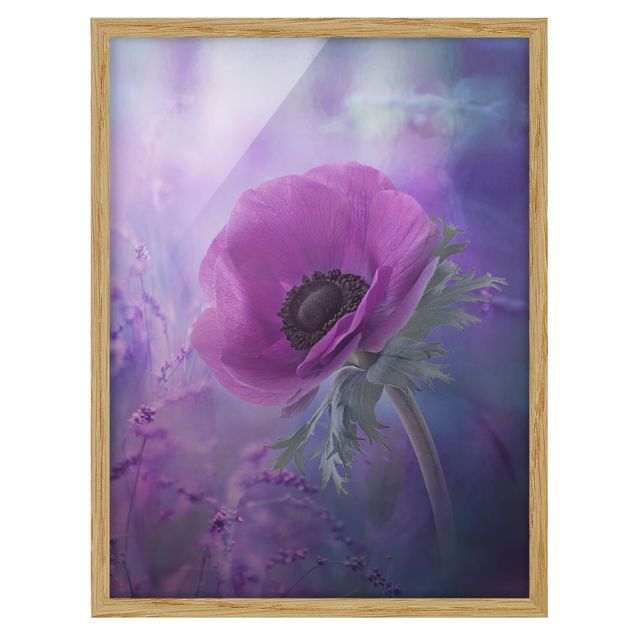 Wanddeko Flur Anemonenblüte in Violett