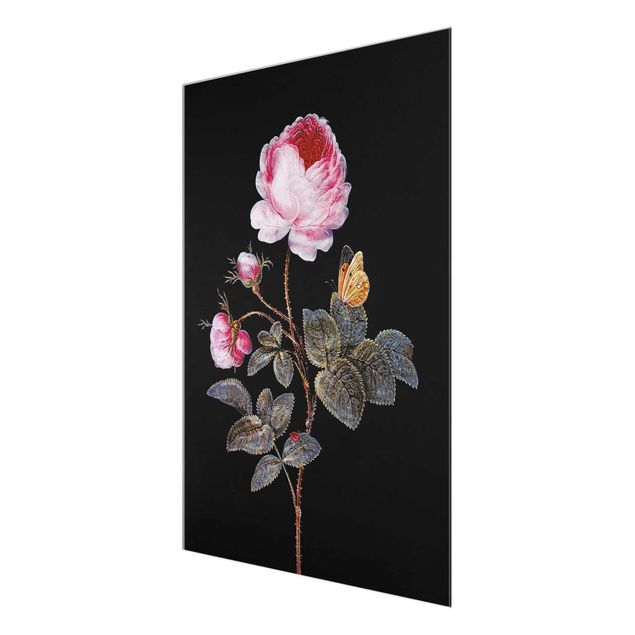 Wanddeko Büro Barbara Regina Dietzsch - Die hundertblättrige Rose