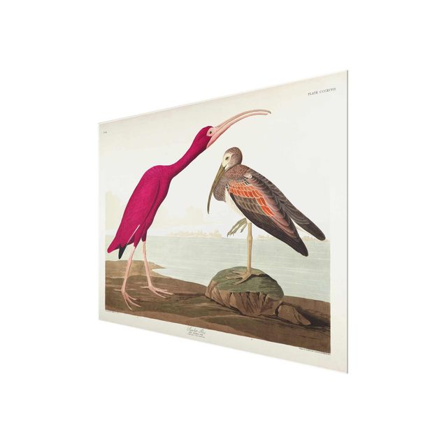 Wanddeko Esszimmer Vintage Lehrtafel Roter Ibis