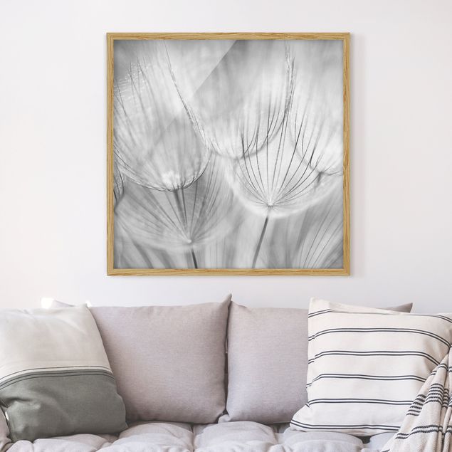 Wanddeko Botanik Pusteblumen Makroaufnahme in schwarz weiß