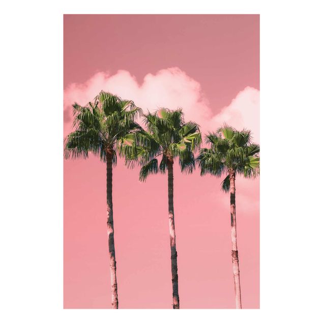 Wanddeko pink Palmen vor Himmel Rosa
