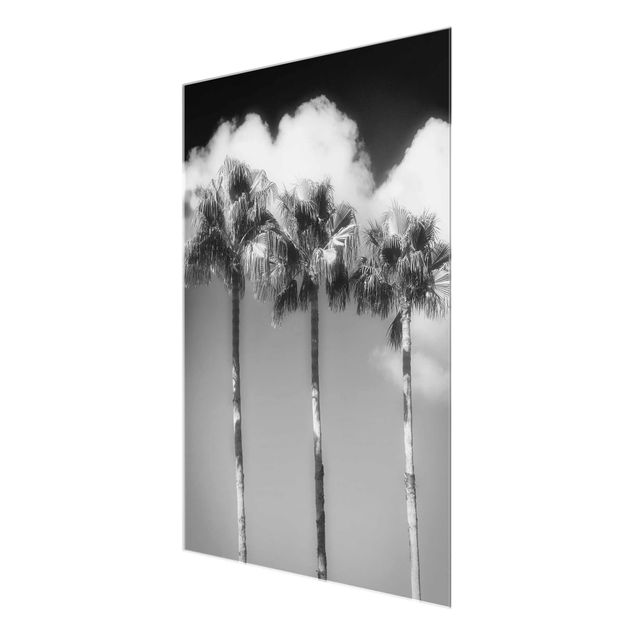 Wanddeko über Sofa Palmen vor Himmel Schwarz-Weiß