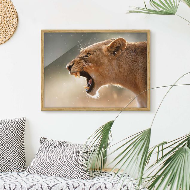 Wanddeko Wohnzimmer Löwin auf der Jagd