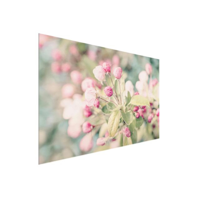 Wanddeko Esszimmer Apfelblüte Bokeh rosa